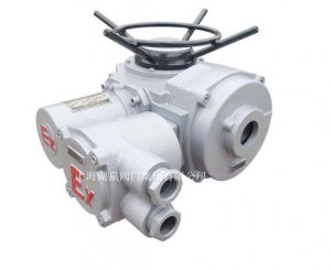 物聯網ZB90-24(380)推力型閥門電動裝置